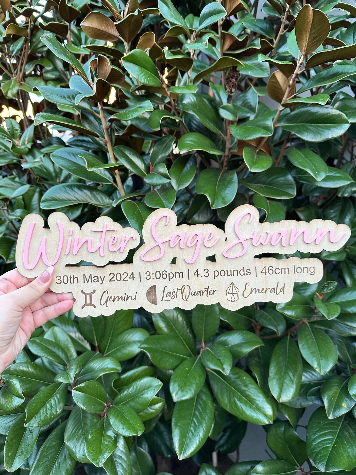Zodiac birth plaque