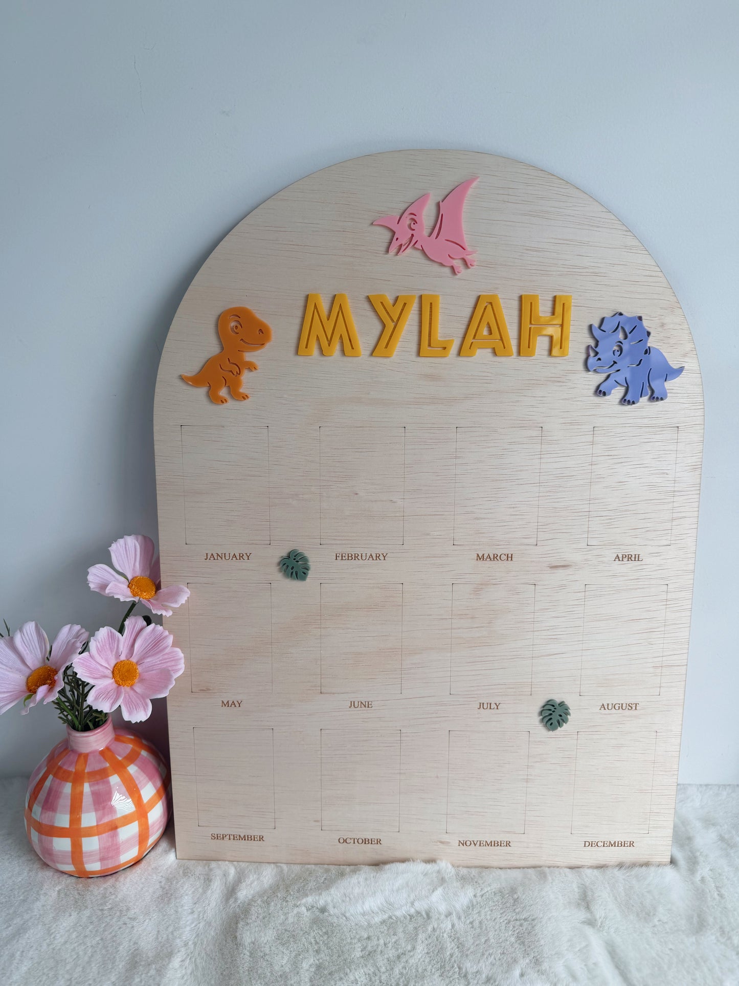 12 month photo board - Dino
