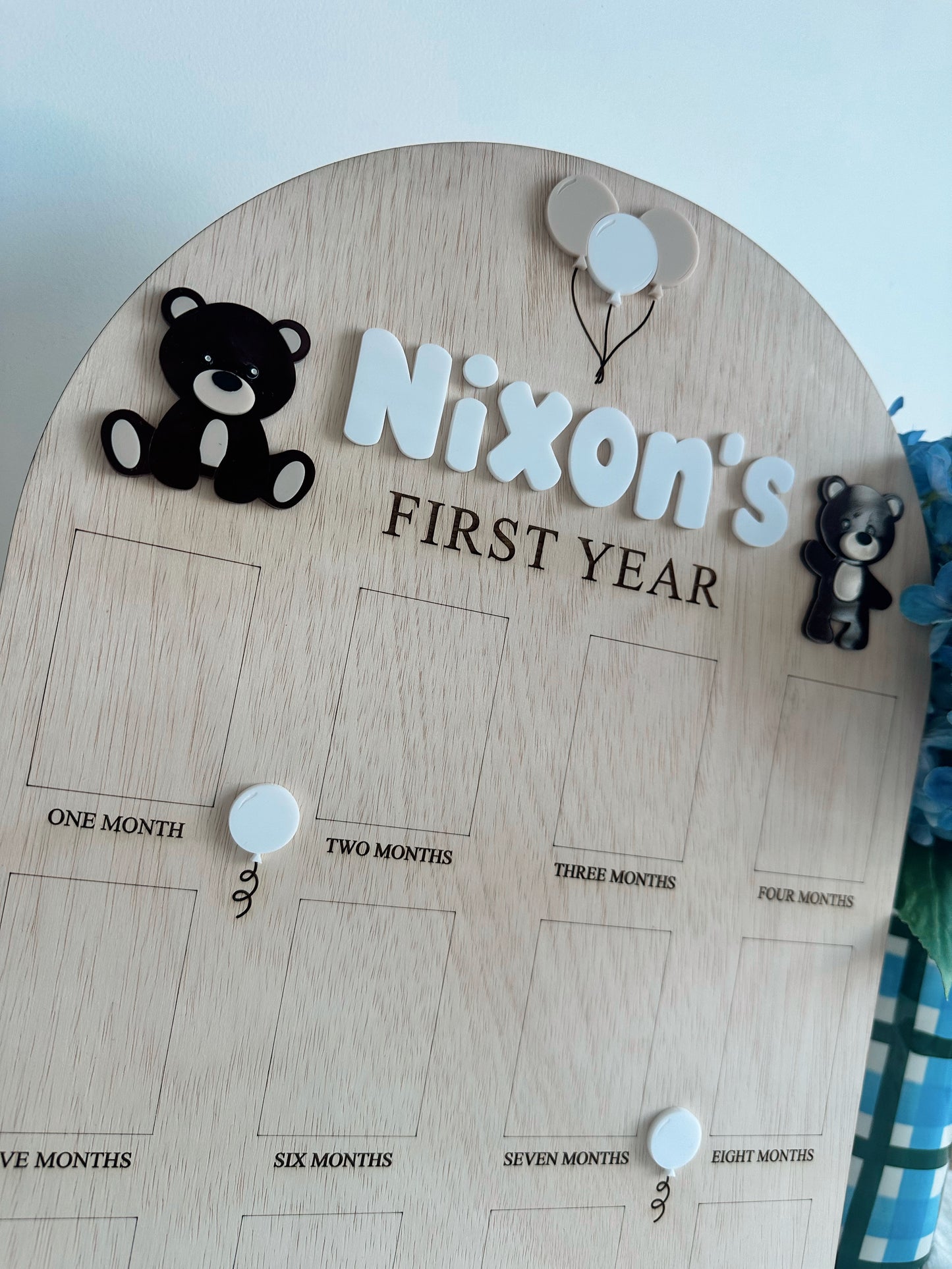 12 month photo board - Teddy bear