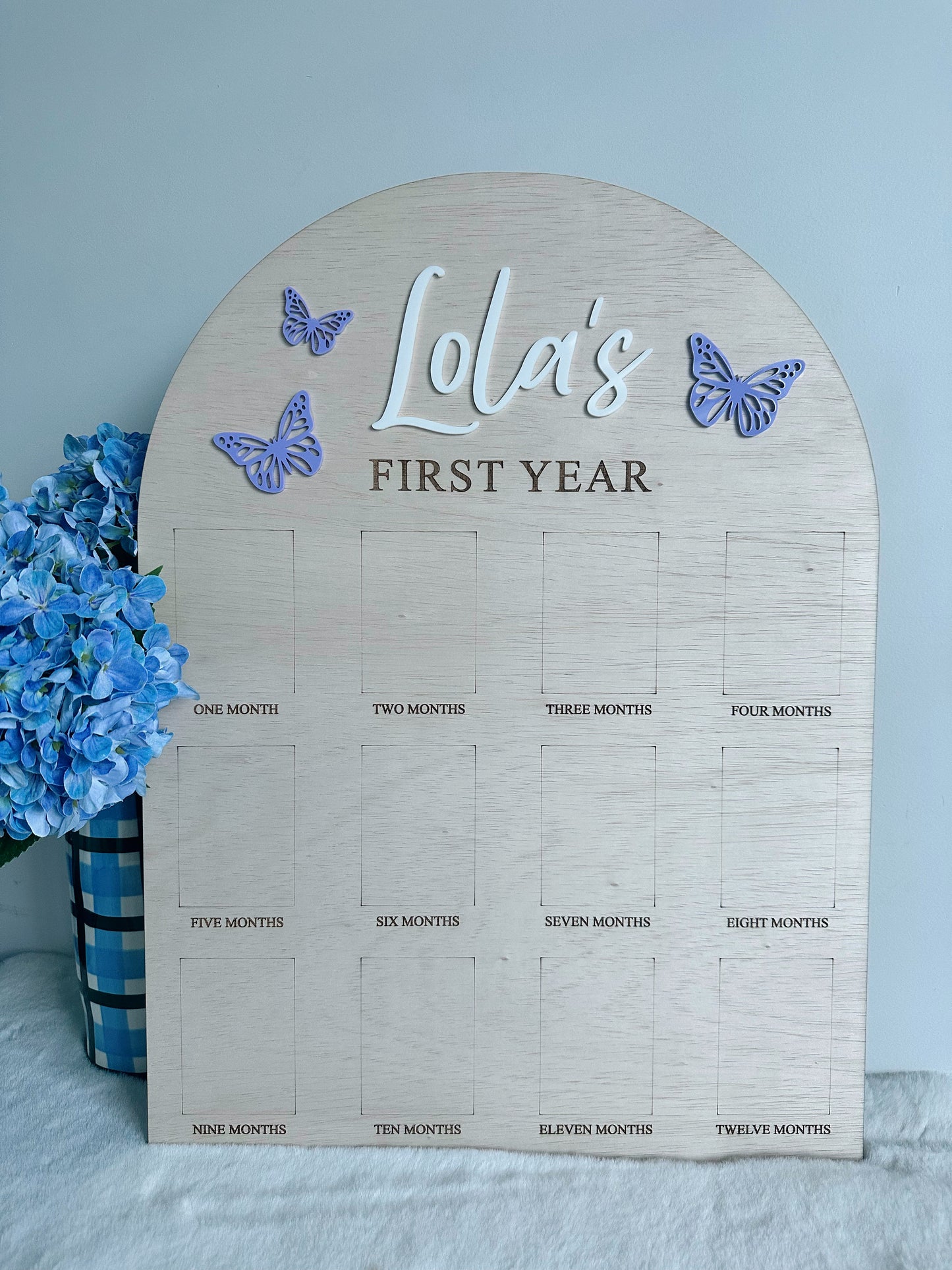 12 month photo board - butterflies