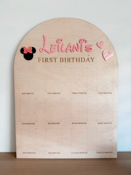 12 month photo board -  Girl mouse
