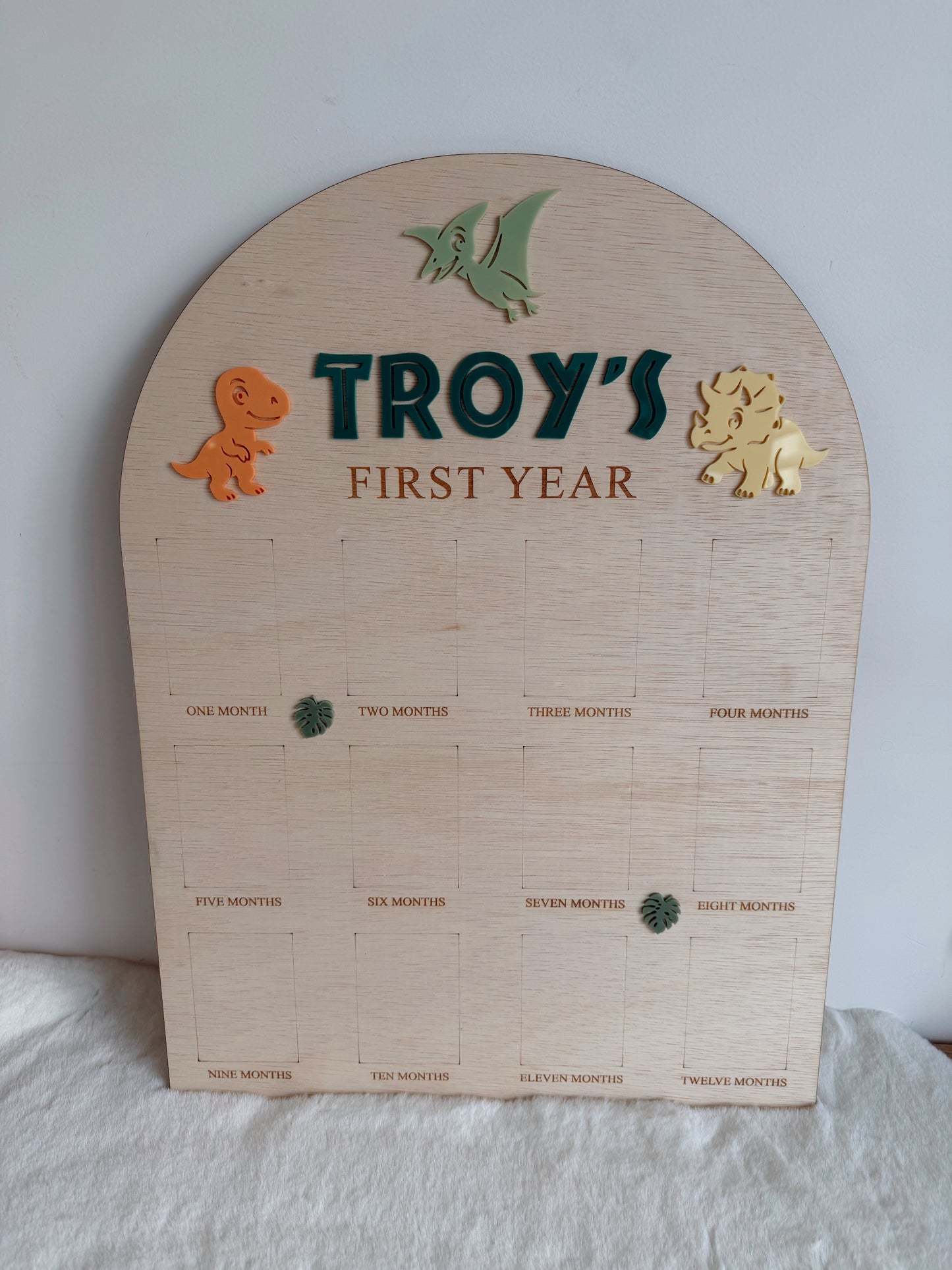 12 month photo board - Dino