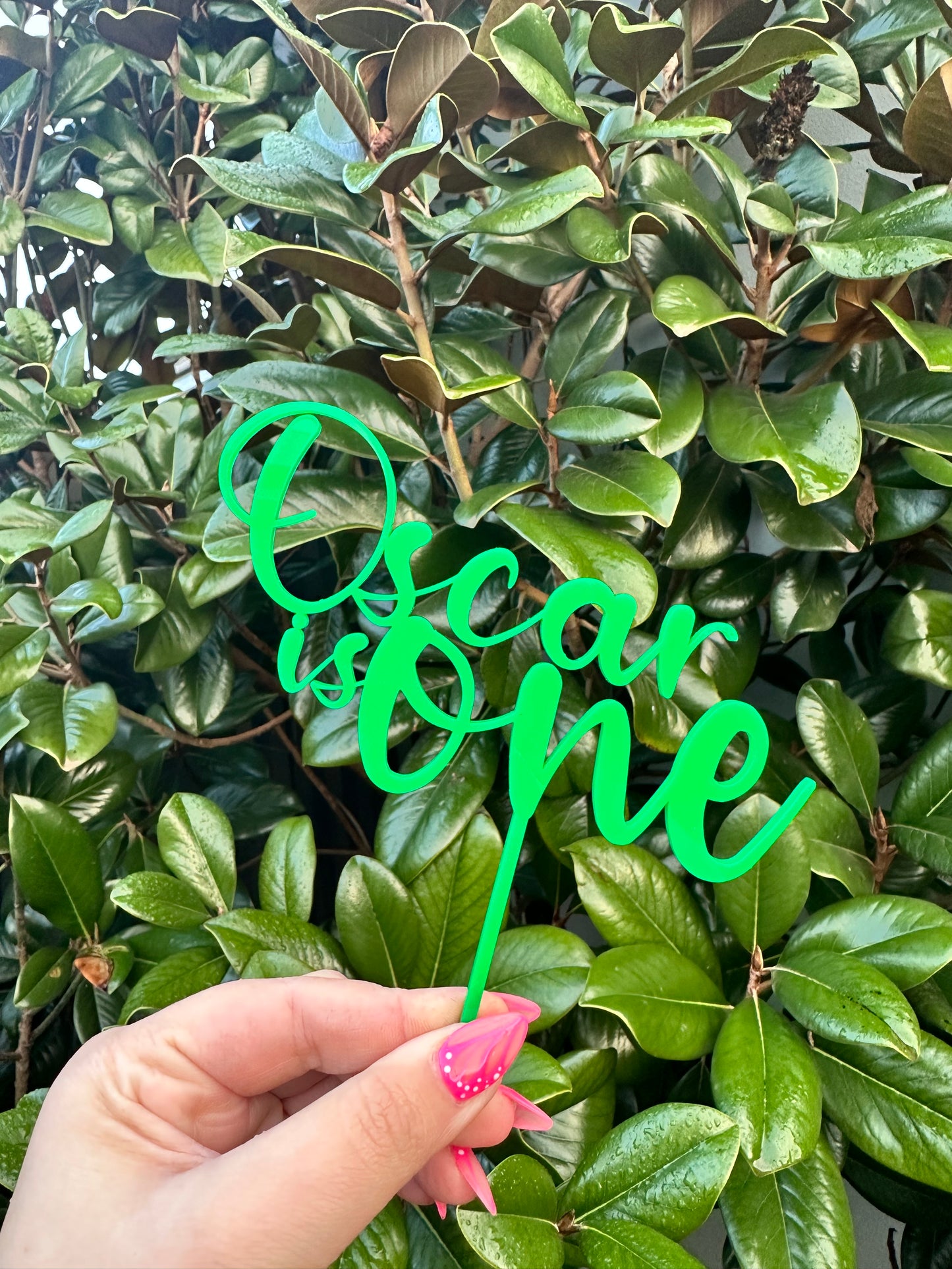 Single Layer Cake Topper