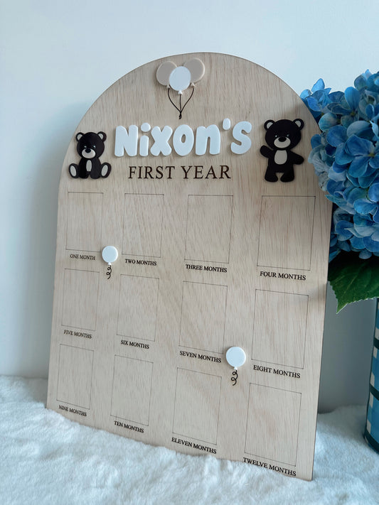 12 month photo board - Teddy bear