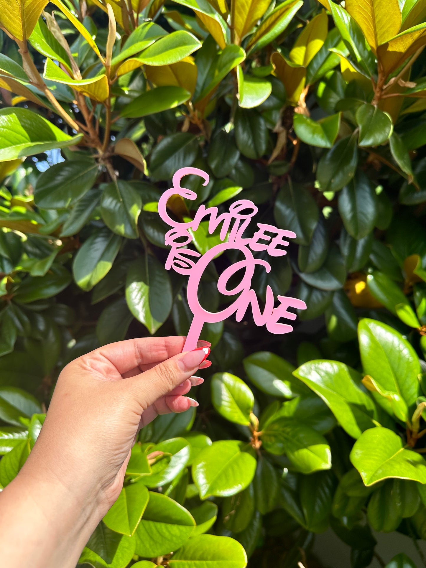 Single Layer Cake Topper