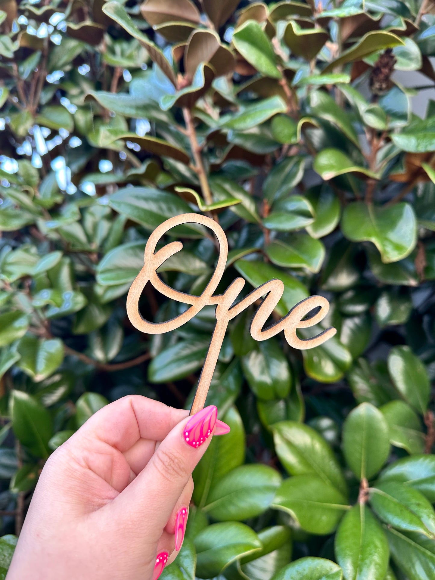 Single Layer Cake Topper