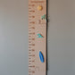 Growth chart - surf