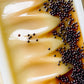 Eradu ~ Canola Soap